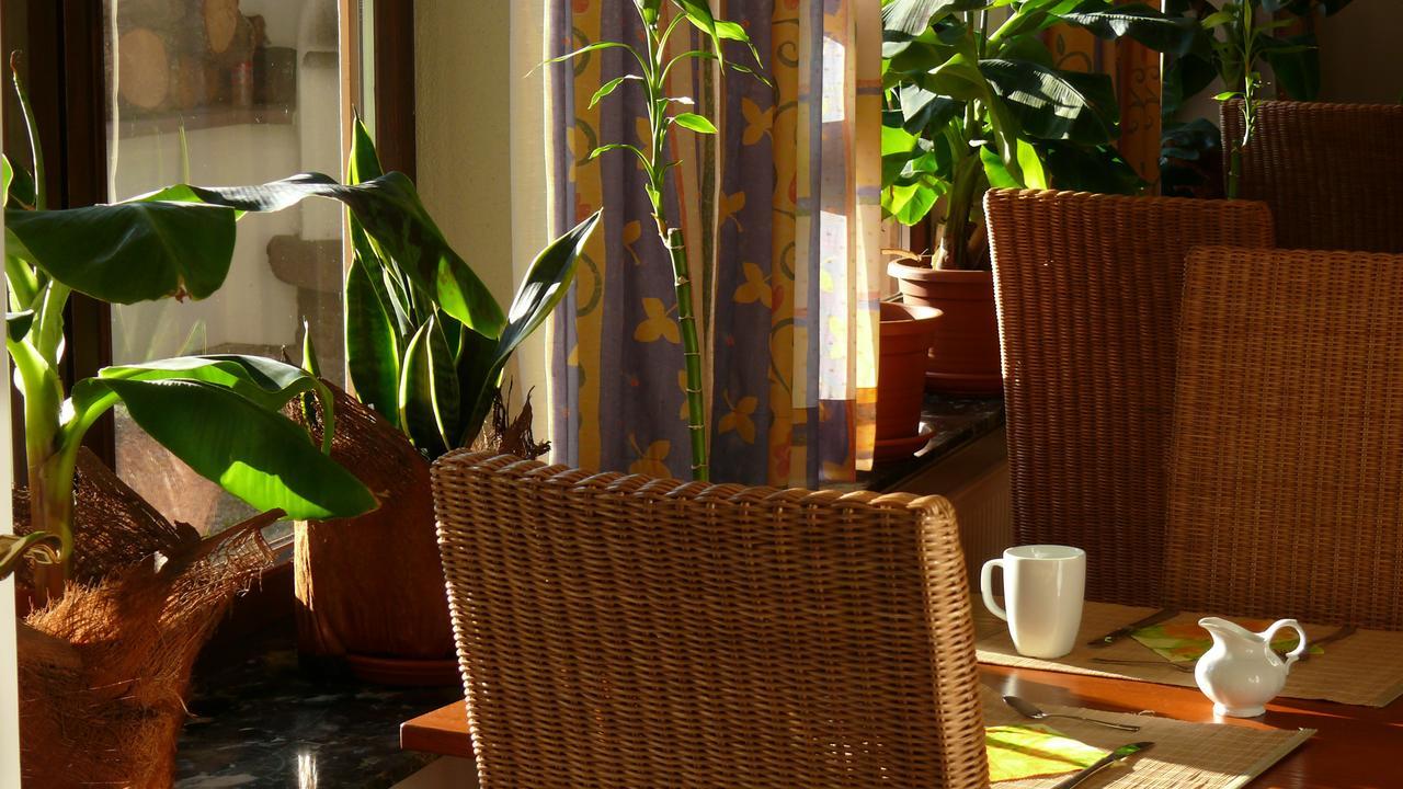 Resorthotel Park-Hill Loßburg エクステリア 写真